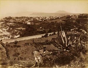 Oran 026